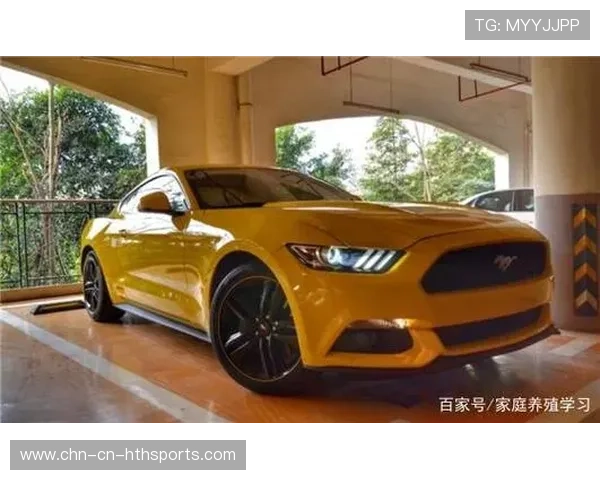 职业赛车手在高速视觉冲击下对刹车点的判断逻辑